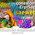 SaeWeb guia basica de conexión